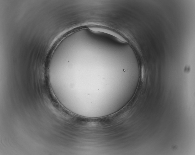 X0000116310204200912211929