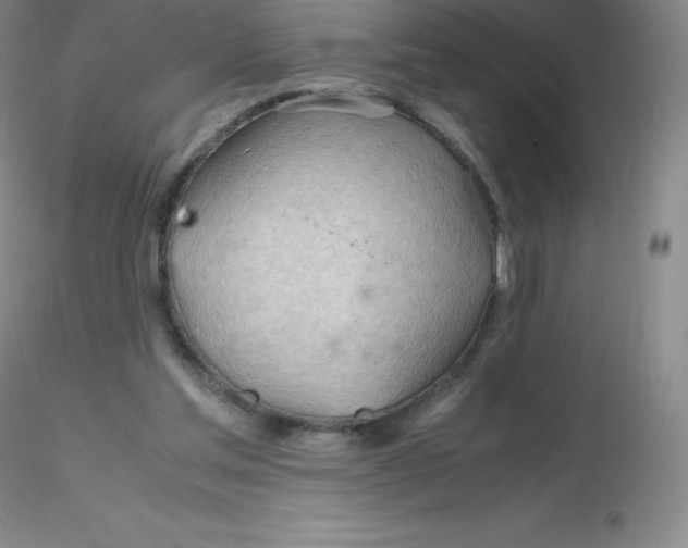 X0000116310205200912211929