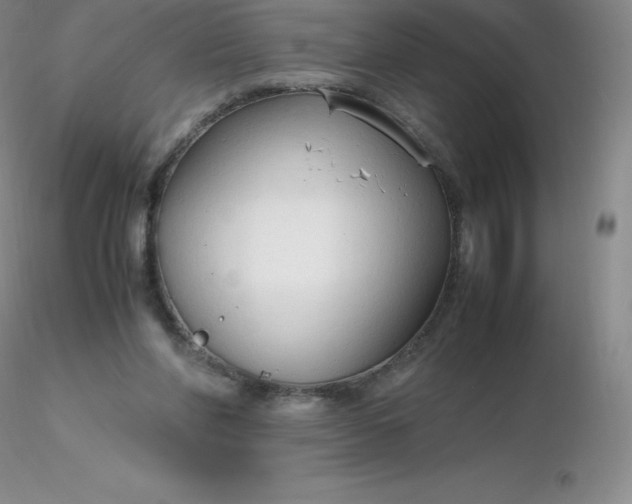 X0000116310206200912211929