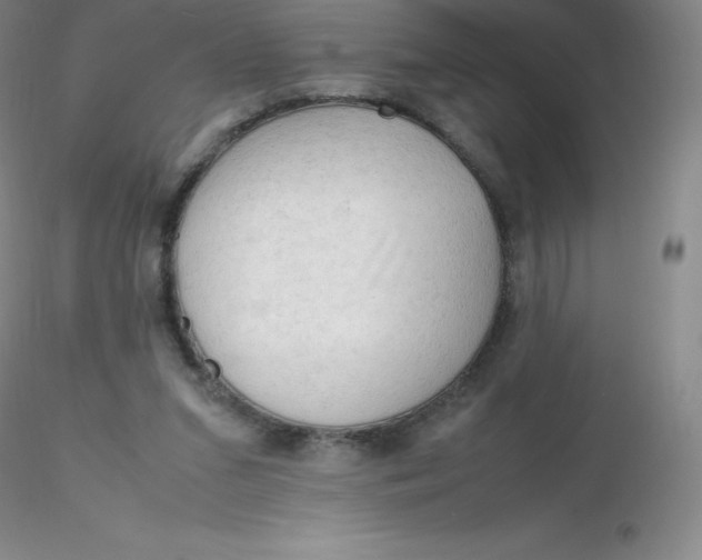 X0000116310207200912211929