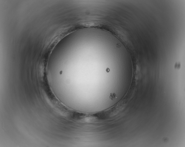 X0000116310210200912211929