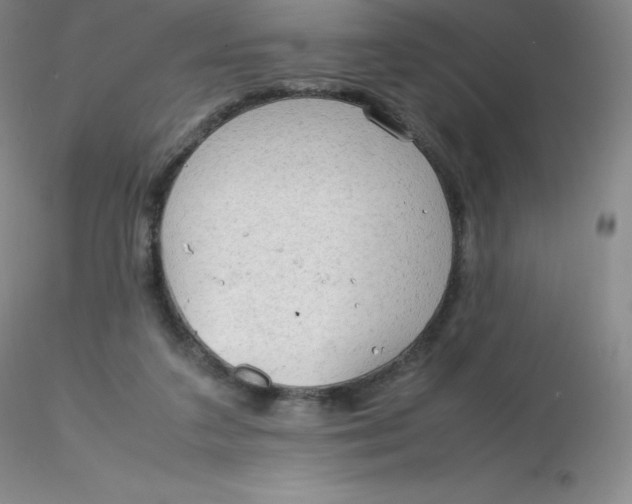 X0000116310211200912211929