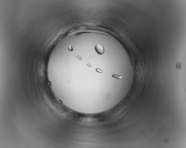 X0000116310212200912211929