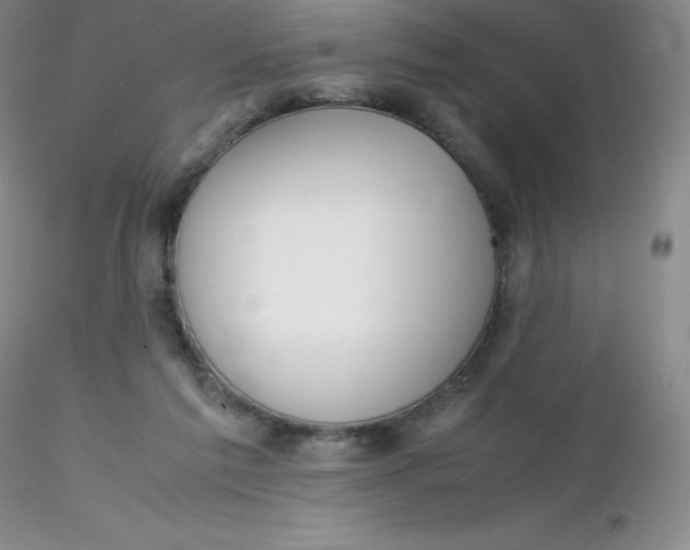 X0000116310213200912211929