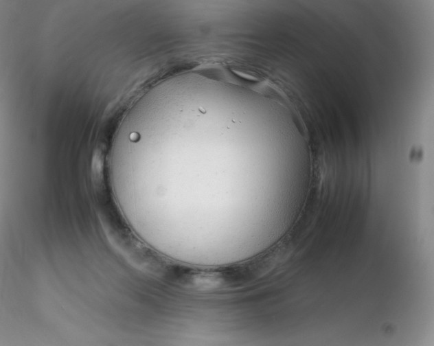 X0000116310214200912211929