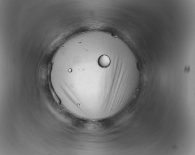 X0000116310215200912211929