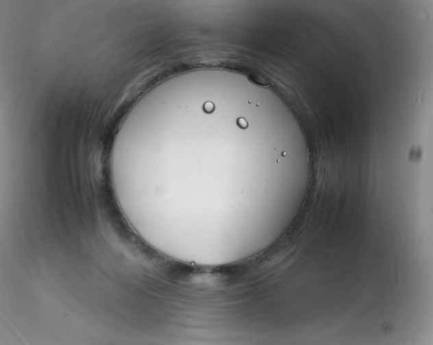 X0000116310216200912211929