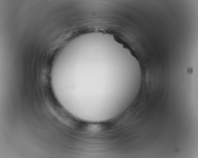 X0000116310218200912211929