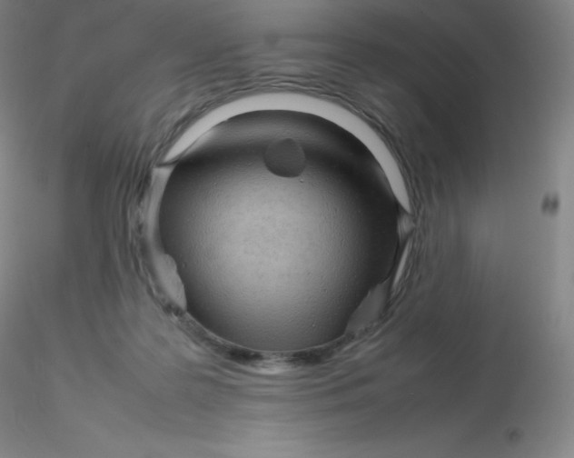 X0000116310219200912211929