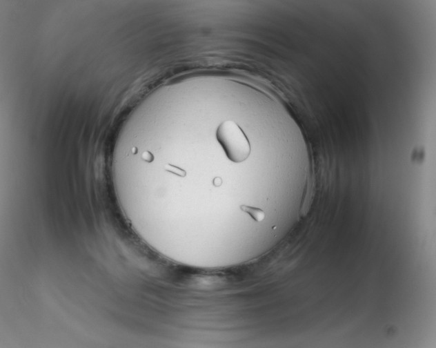 X0000116310220200912211929