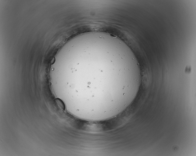 X0000116310221200912211929