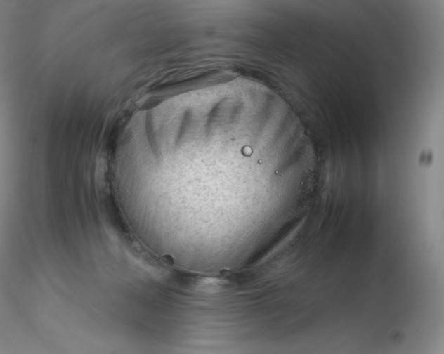 X0000116310222200912211929