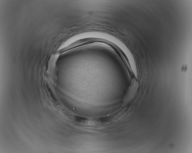 X0000116310223200912211929