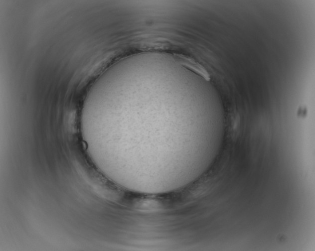 X0000116310224200912211929