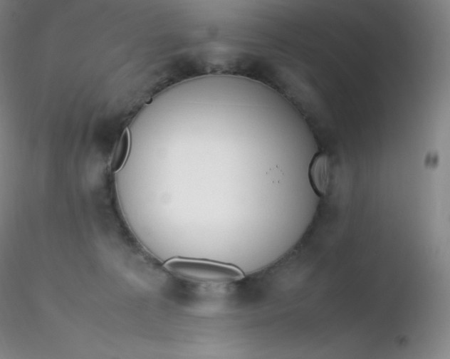 X0000116310225200912211929