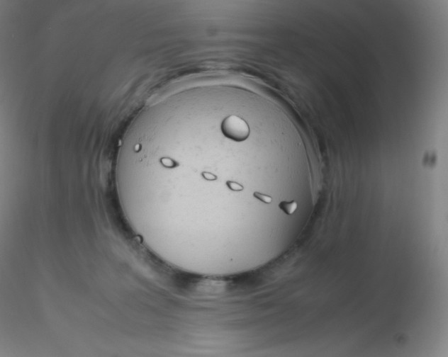 X0000116310227200912211929