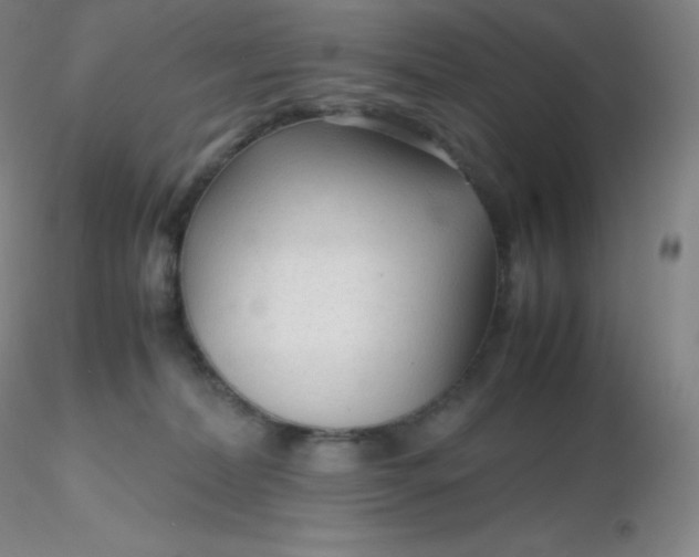 X0000116310228200912211929