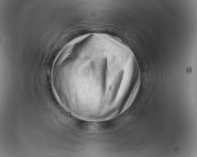 X0000116310229200912211929