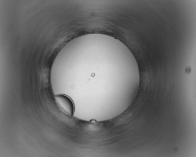 X0000116310232200912211929