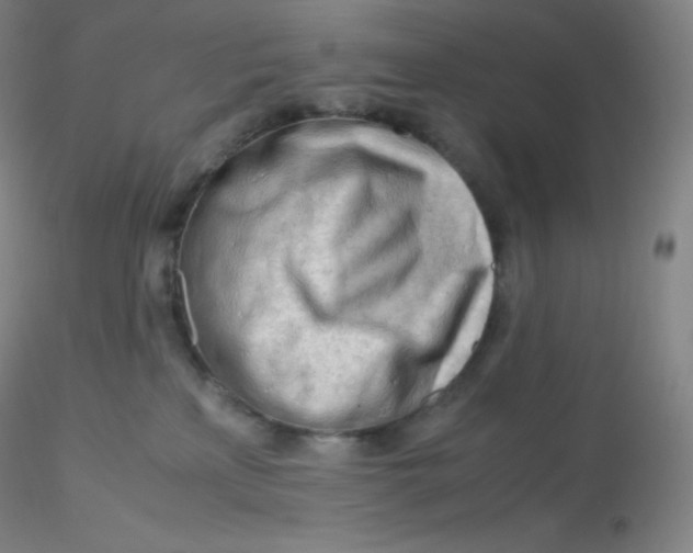 X0000116310233200912211929