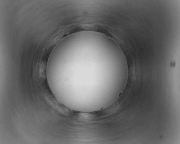 X0000116310234200912211929