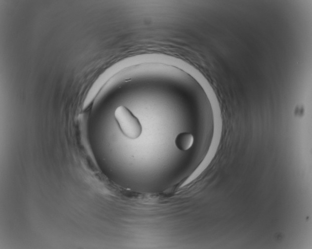 X0000116310235200912211929