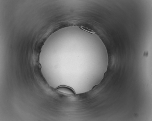 X0000116310236200912211929