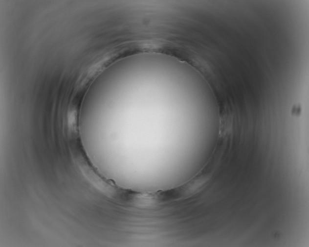 X0000116310238200912211929