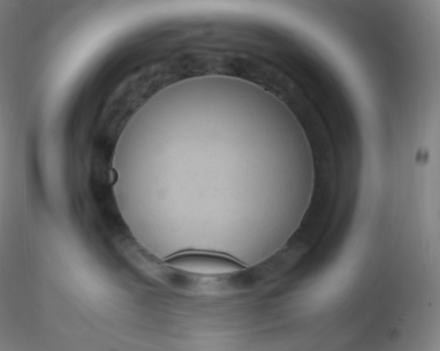 X0000116310239200912211929