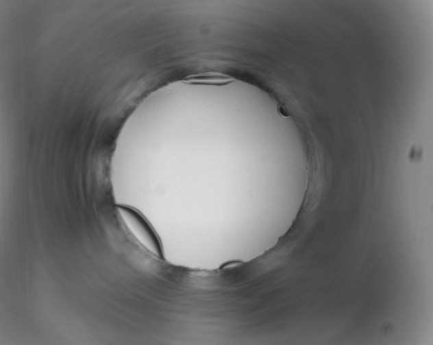 X0000116310240200912211929