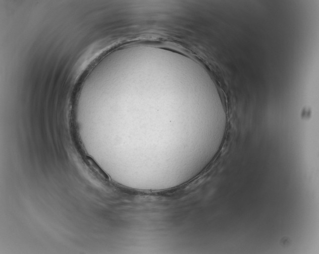 X0000116310242200912211928