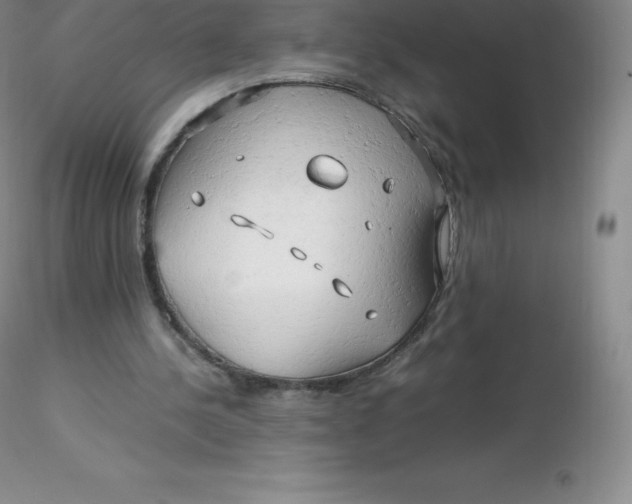 X0000116310244200912211928