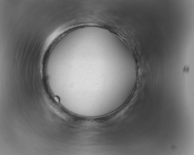 X0000116310246200912211928