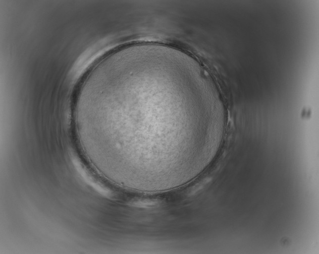 X0000116310247200912211928