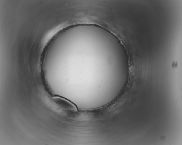 X0000116310248200912211928