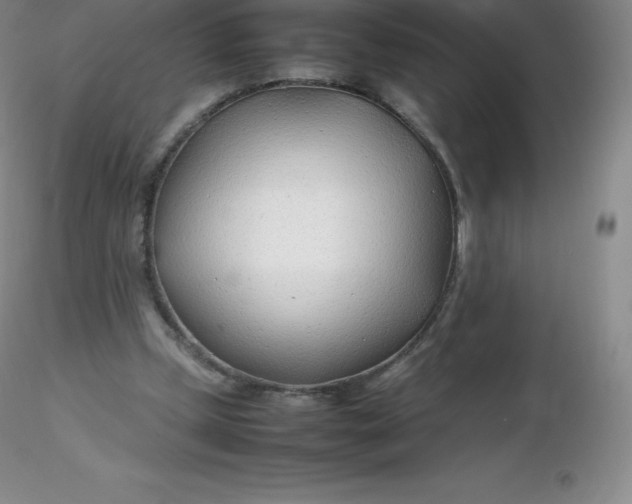 X0000116310249200912211928