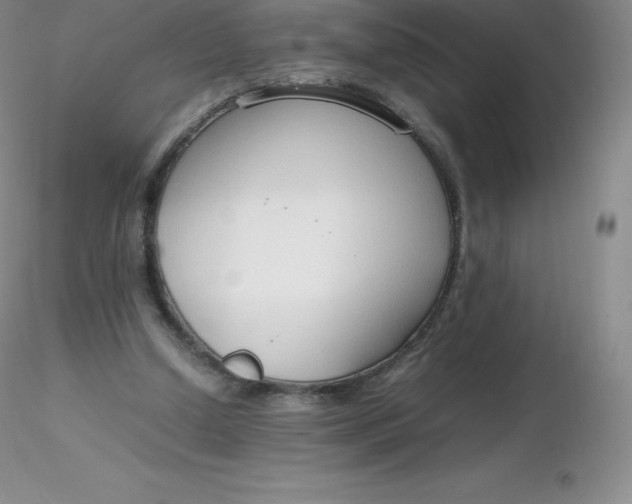 X0000116310250200912211928