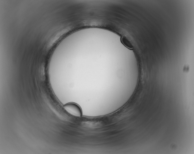 X0000116310251200912211928