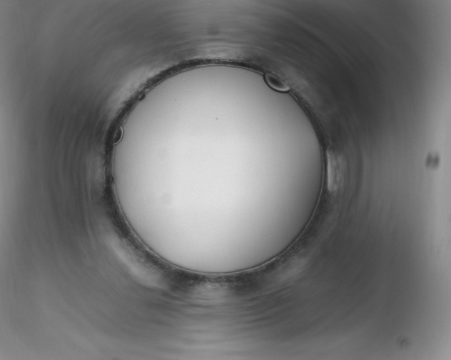 X0000116310252200912211928