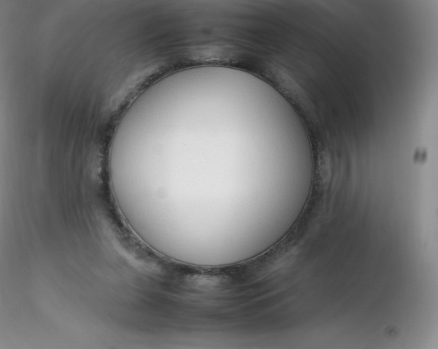 X0000116310255200912211928