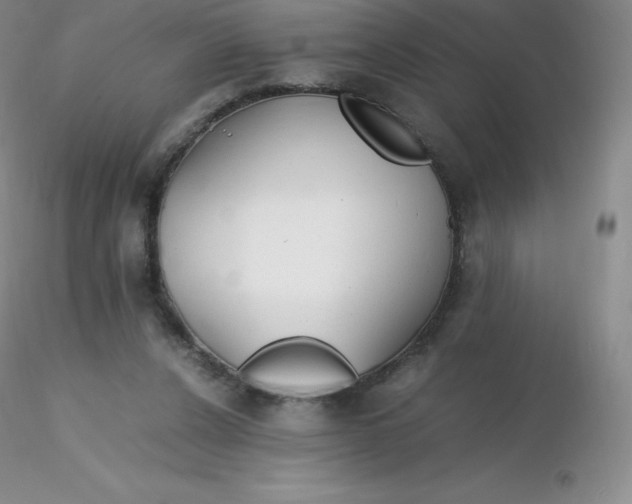 X0000116310256200912211928