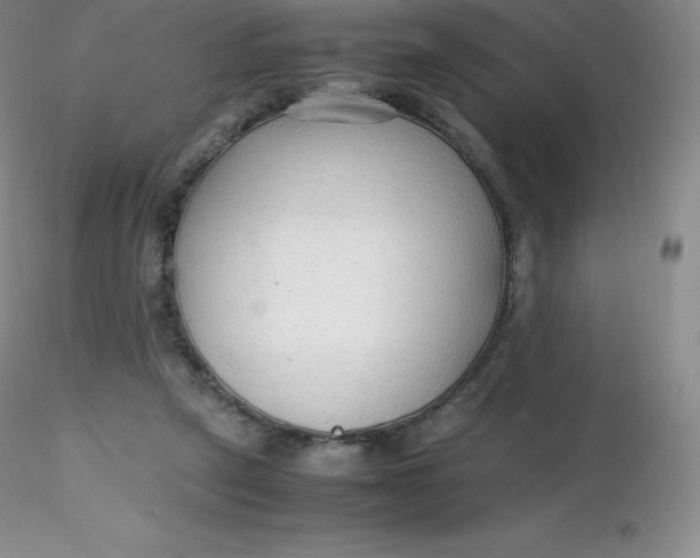 X0000116310257200912211928