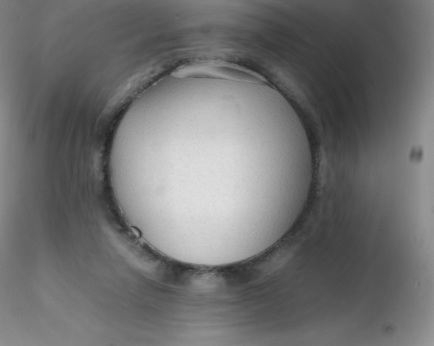 X0000116310258200912211929