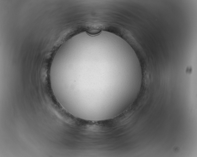 X0000116310259200912211929