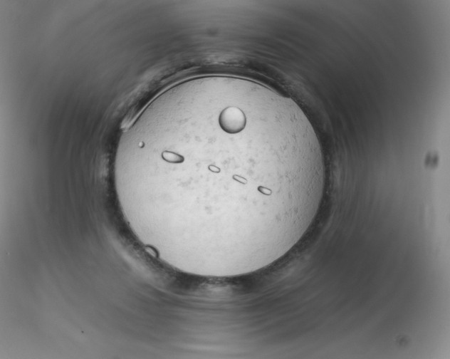 X0000116310260200912211929