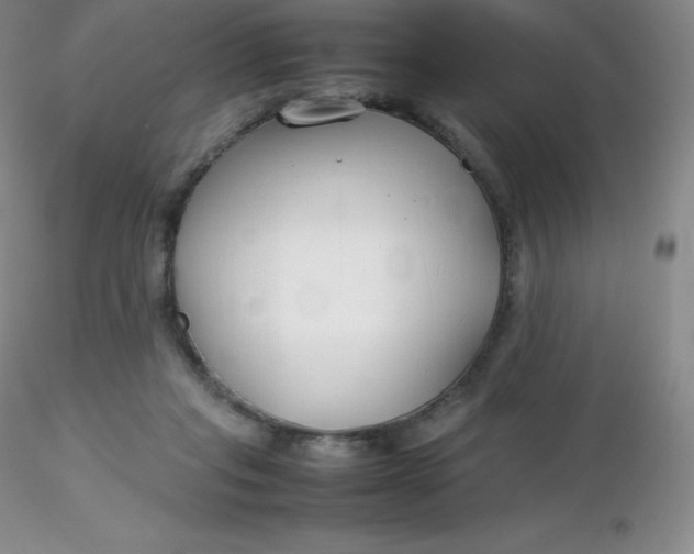 X0000116310261200912211929