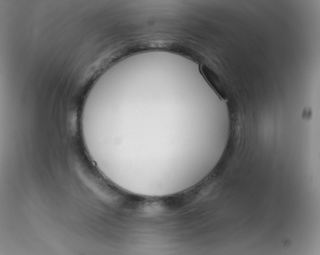 X0000116310262200912211929