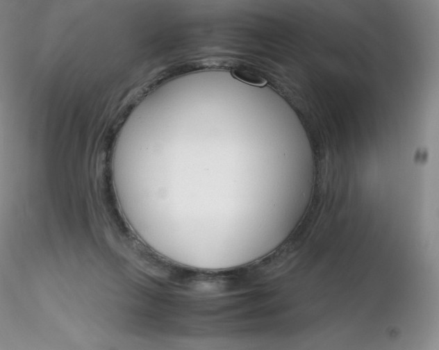 X0000116310263200912211929