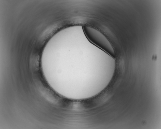 X0000116310264200912211929