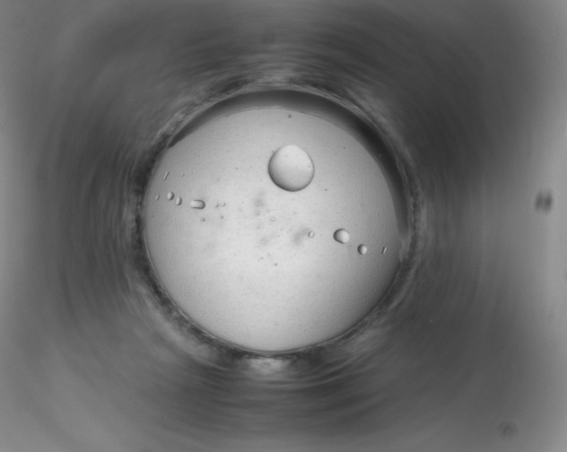 X0000116310265200912211929